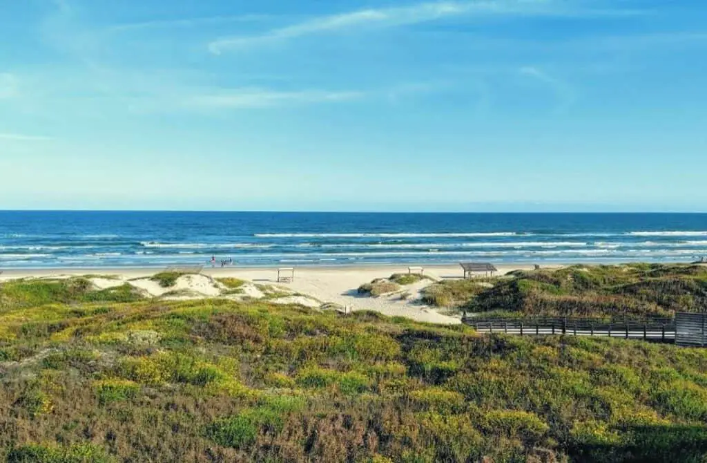 Padre Island National Seashore, best beach in corpus christi