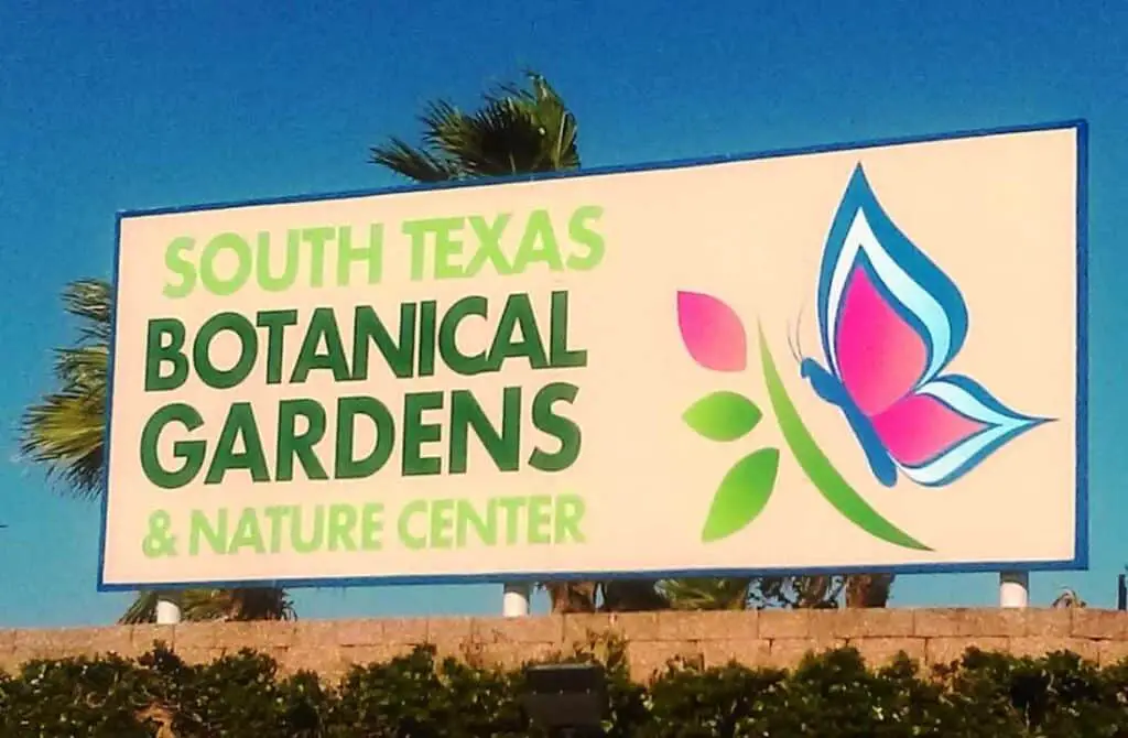 South Texas Botanical Garden and Nature Center, things to do on the weekend in corpus christi