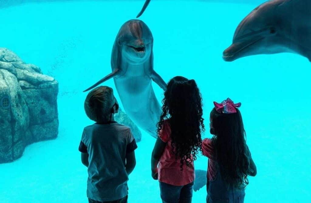 Texas state aquarium, places to go in corpus christi texas