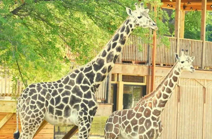 15 AWESOME Things to do In Hattiesburg, Mississippi