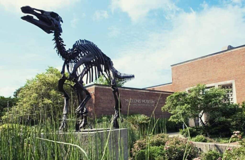 McClung Museum of Natural History and Culture, fun things to do in knoxville, tn
