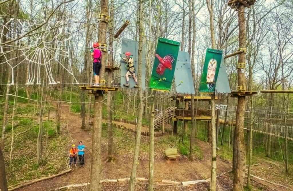 Navitat Knoxville, best things to do with kids in knoxville
