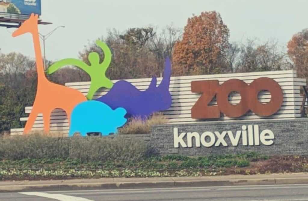 Zoo Knoxville, things for kids to do in knoxville