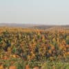 Gaylord, Michigan in the fall