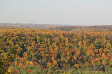 Gaylord, Michigan in the fall