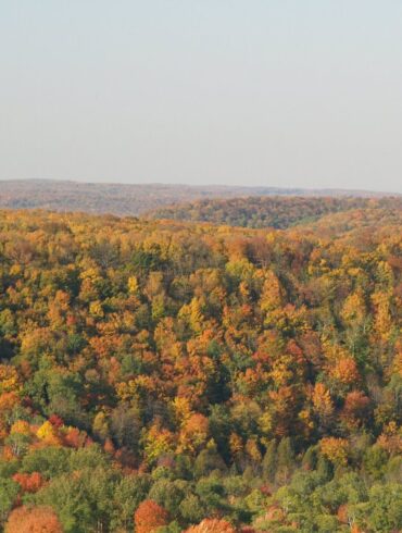 Gaylord, Michigan in the fall