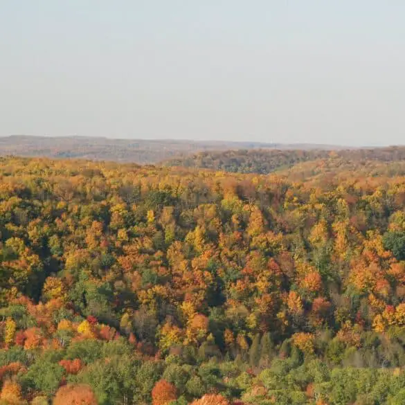 Gaylord, Michigan in the fall