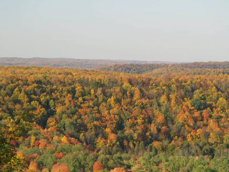 Gaylord, Michigan in the fall