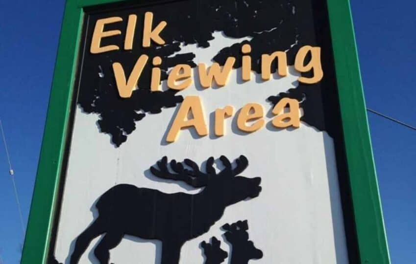 The Best Things to do in Gaylord, Michigan