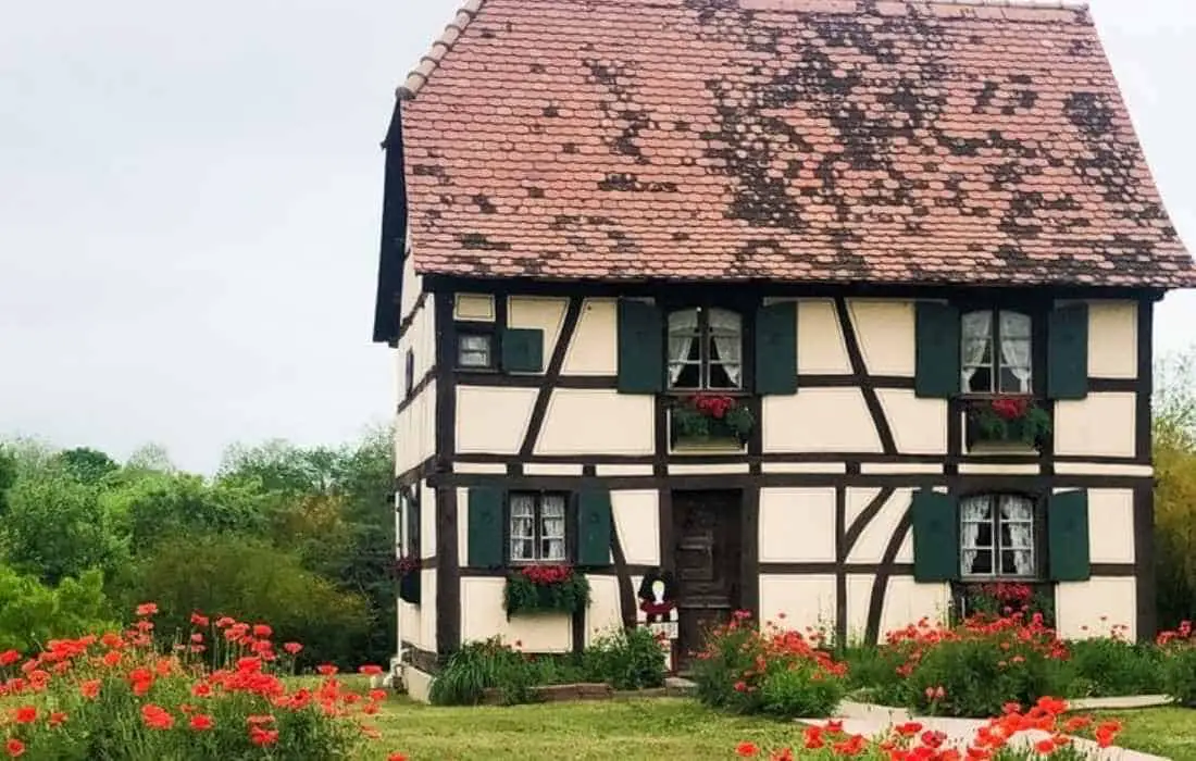 15 Fantastic Things to Do in Castroville, Texas