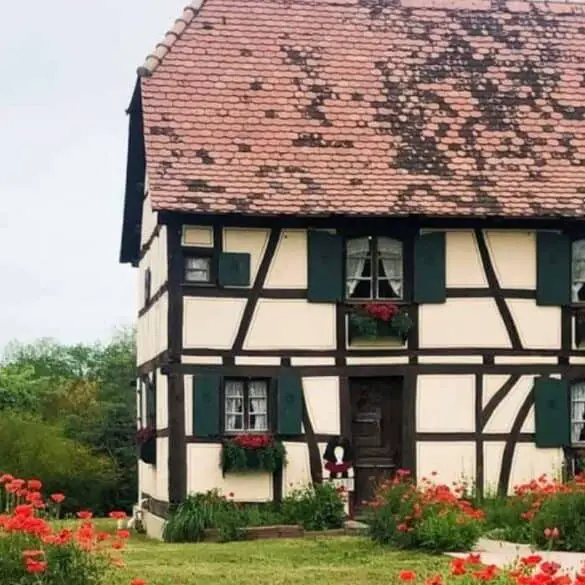 Steinbach Haus Visitors Center Castroville Texas