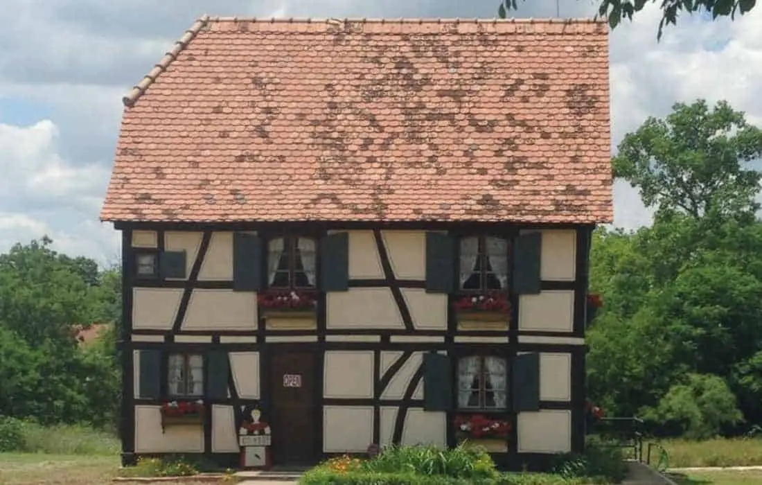 15 Fantastic Things to Do in Castroville, Texas