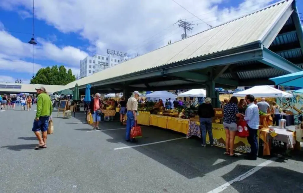 bellingham farmers market, fun things to do in Bellingham WA