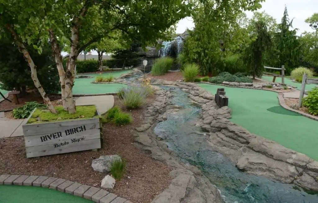 putt putt at island adventures