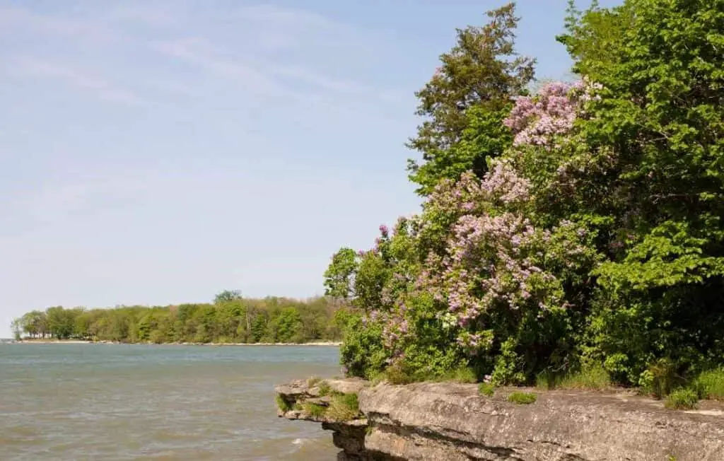 lake erie island