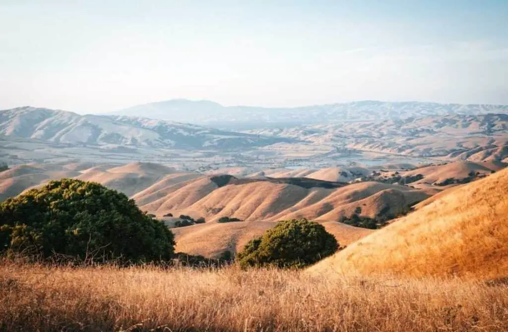 Mission Peak's rolling dunes