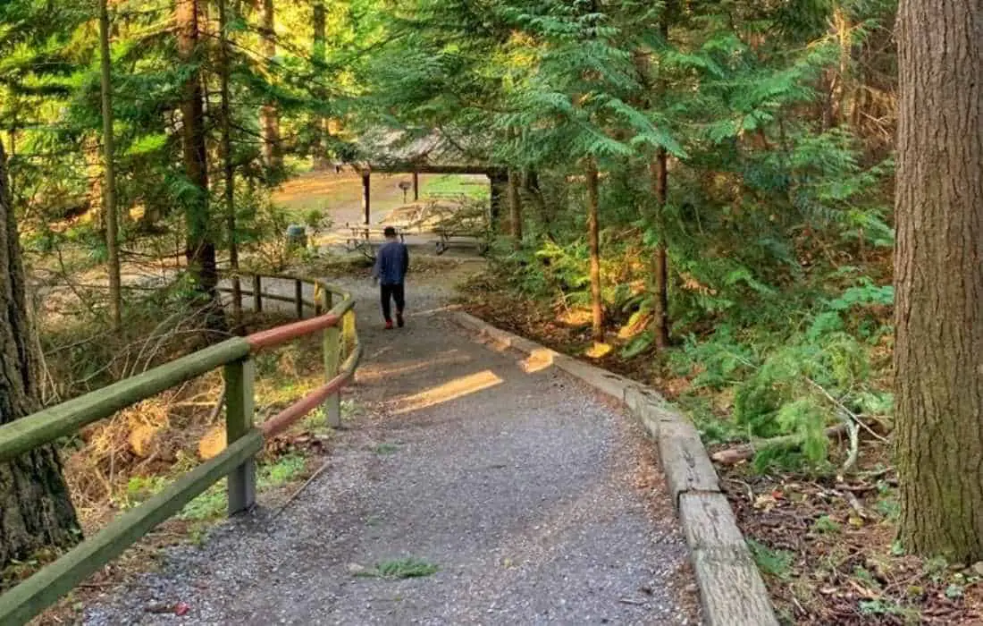 Whatcom Falls Park, free things to do in Bellingham, Washington