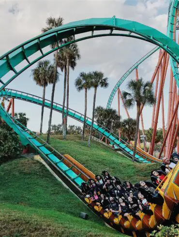 roller coaster