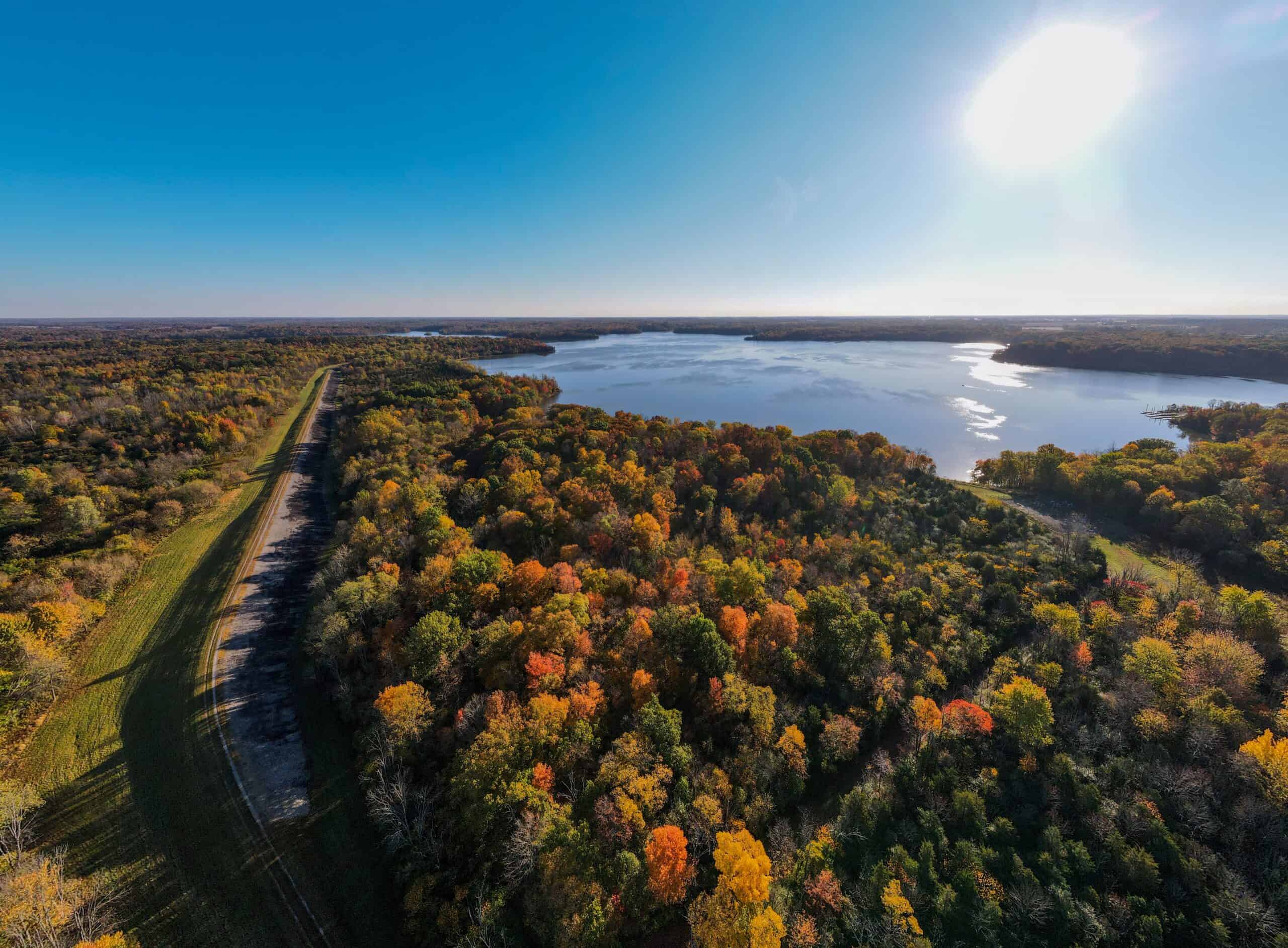 panoramic view of a forest and a lake