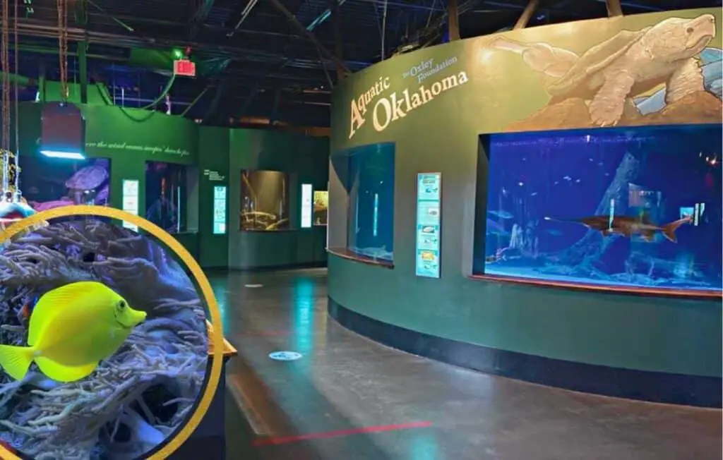 Oklahoma Aquarium, things to do in Tulsa OK