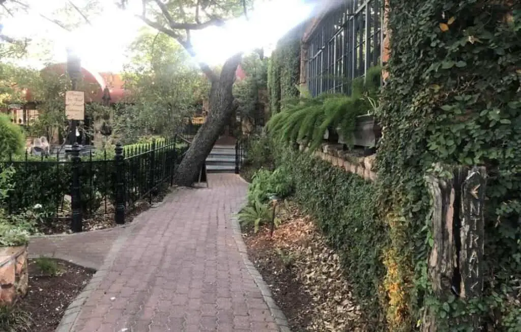 16 MINDBLOWING Best Restaurants in San Marcos, Texas