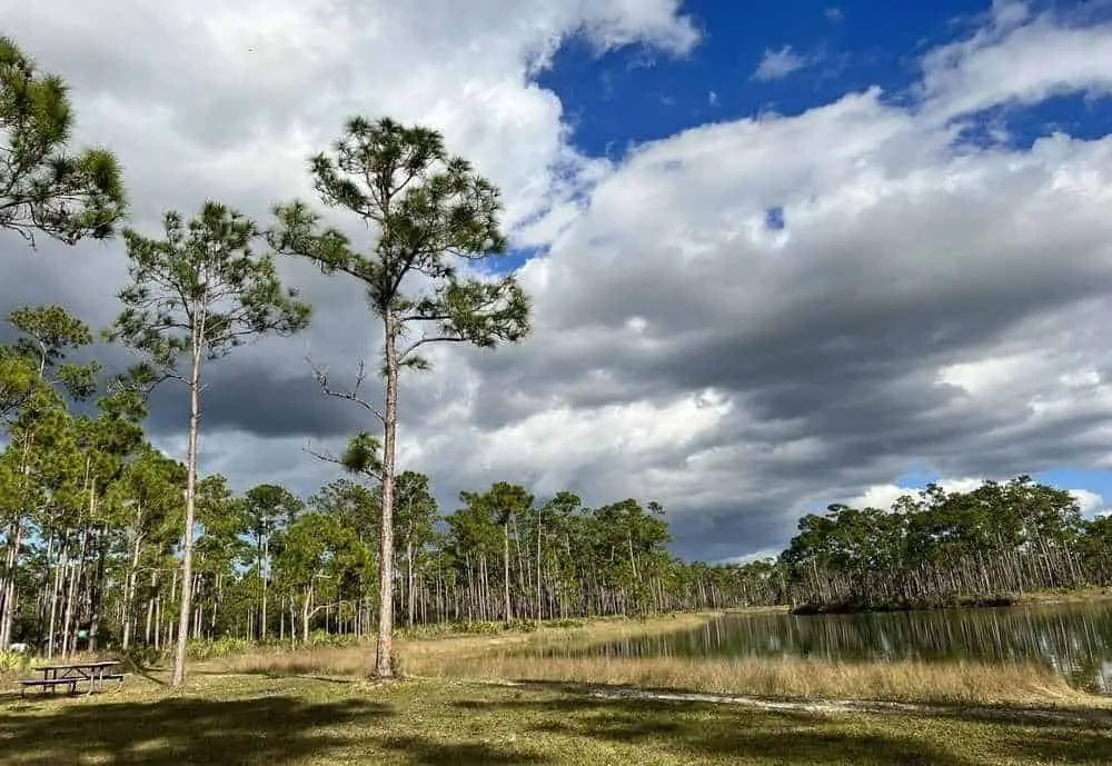 Everglades National Park