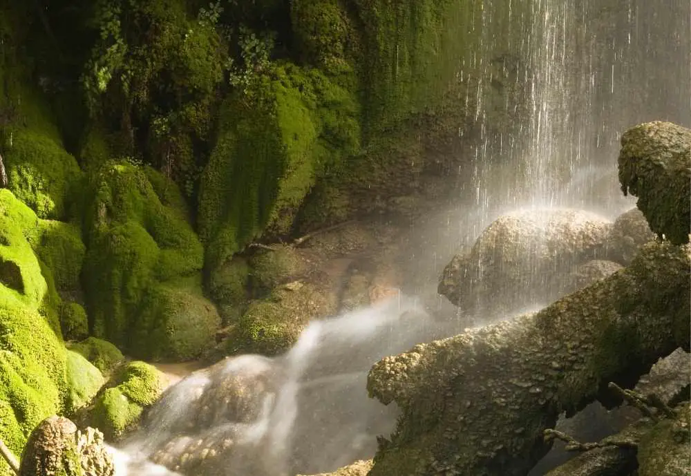 Garman Falls, Colorado Bend State Park