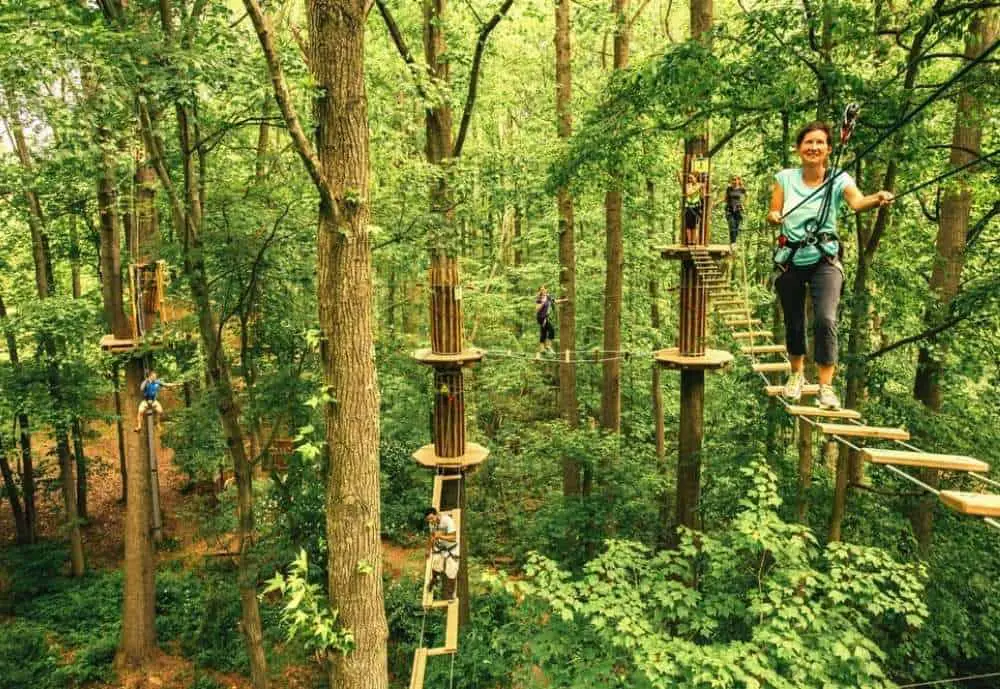 Go Ape Zipline in Plano TX