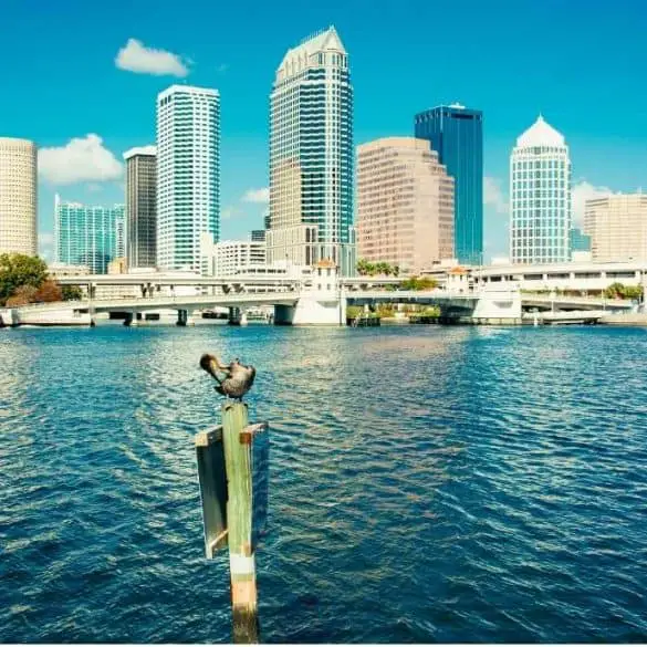 View of Tampa Bay Skyline