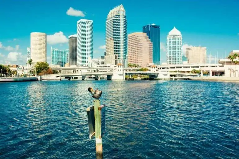 View of Tampa Bay Skyline