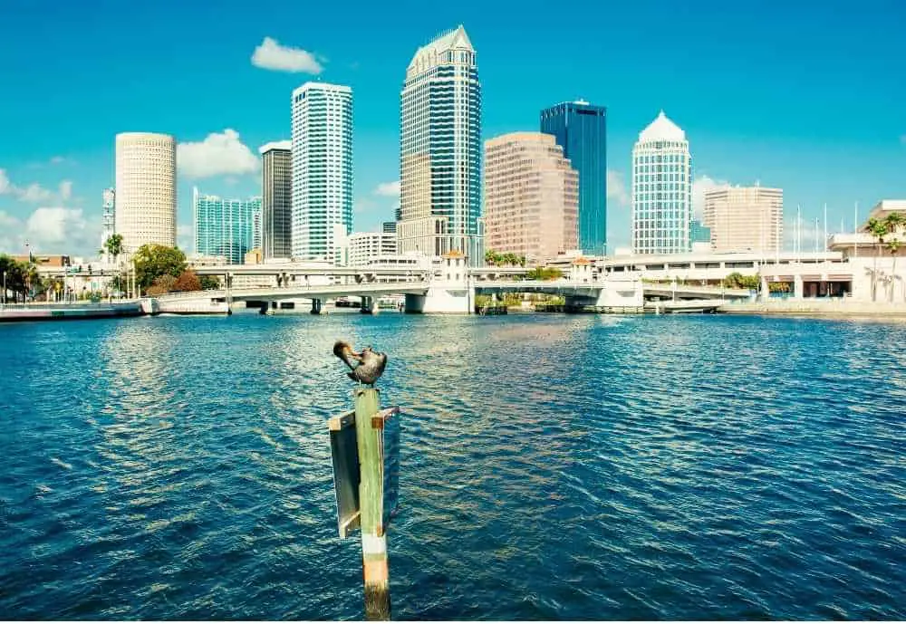View of Tampa Bay Skyline