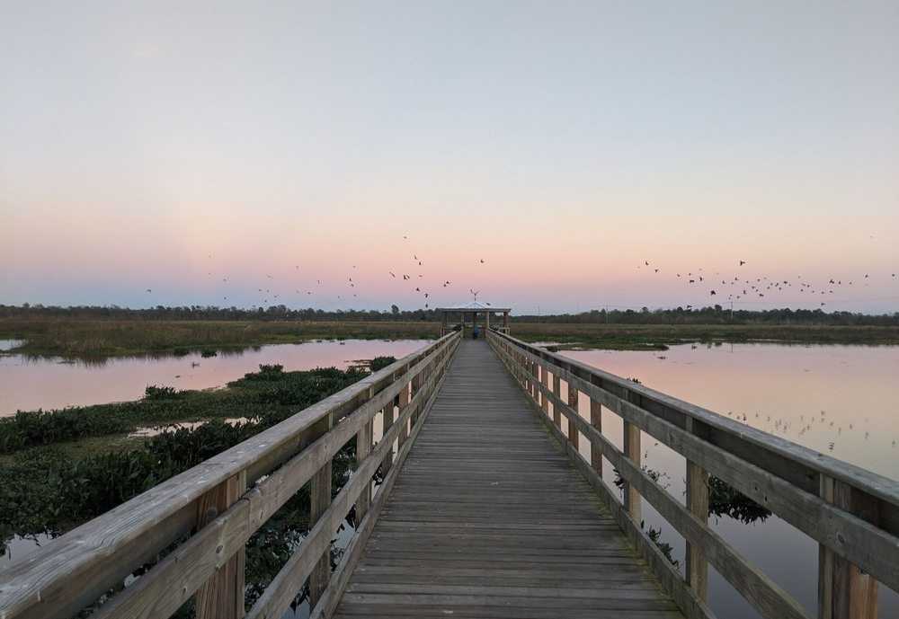 Cattail Marsh, best things to do in Beaumont Tx
