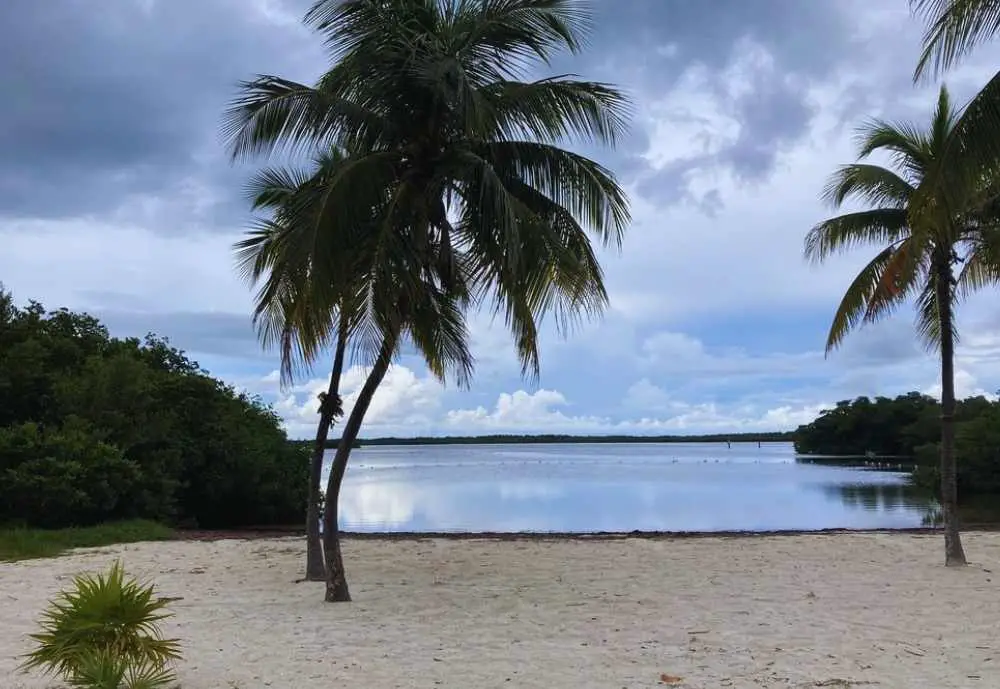 the beach at John Pennekamp State Park