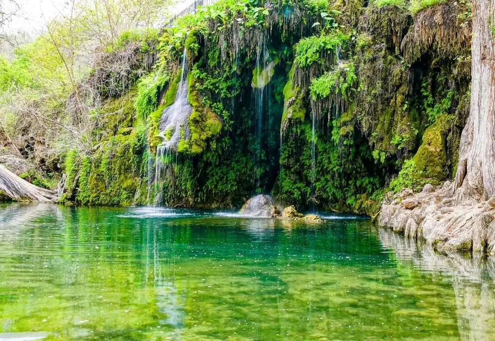 Krause Springs, Spicewood Texas