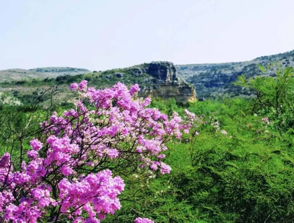 Devils River State Natural Area, best things to do in Del Rio, Tx