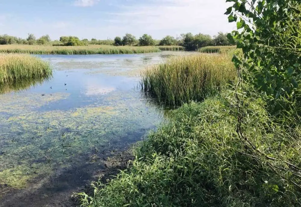 I-20 Wildlife Preserve, fun things to do in Midland TX