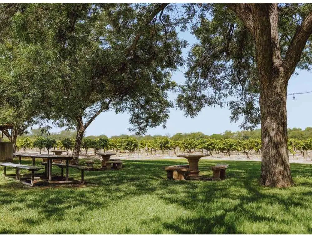 Val Verde Winery, things to do in Del Rio Texas