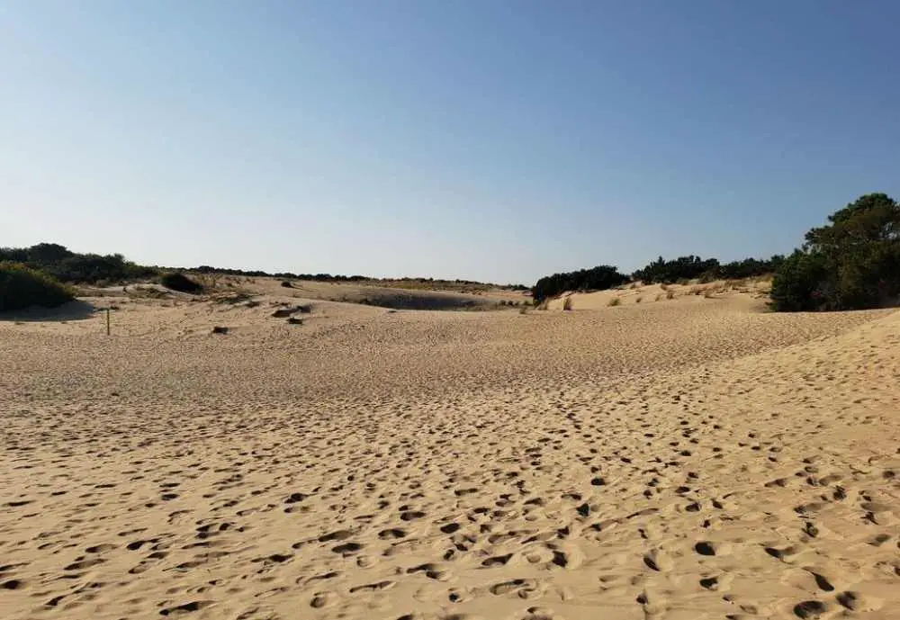 Jockey's Ridge State Park, cool things to do in Roanoke Island NC