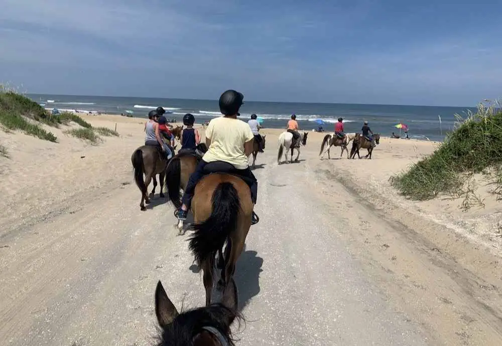 Outer Banks Horseback Riding, best things to do in Roanoke Island NC