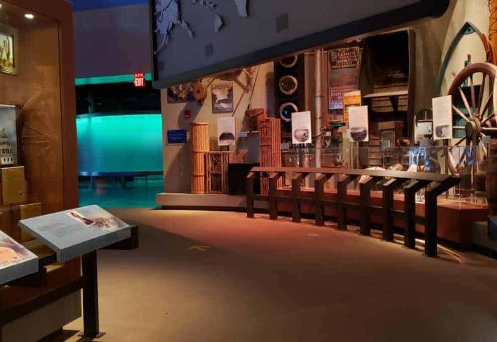 National Mississippi River Museum & Aquarium, best things to do in iowa with kids