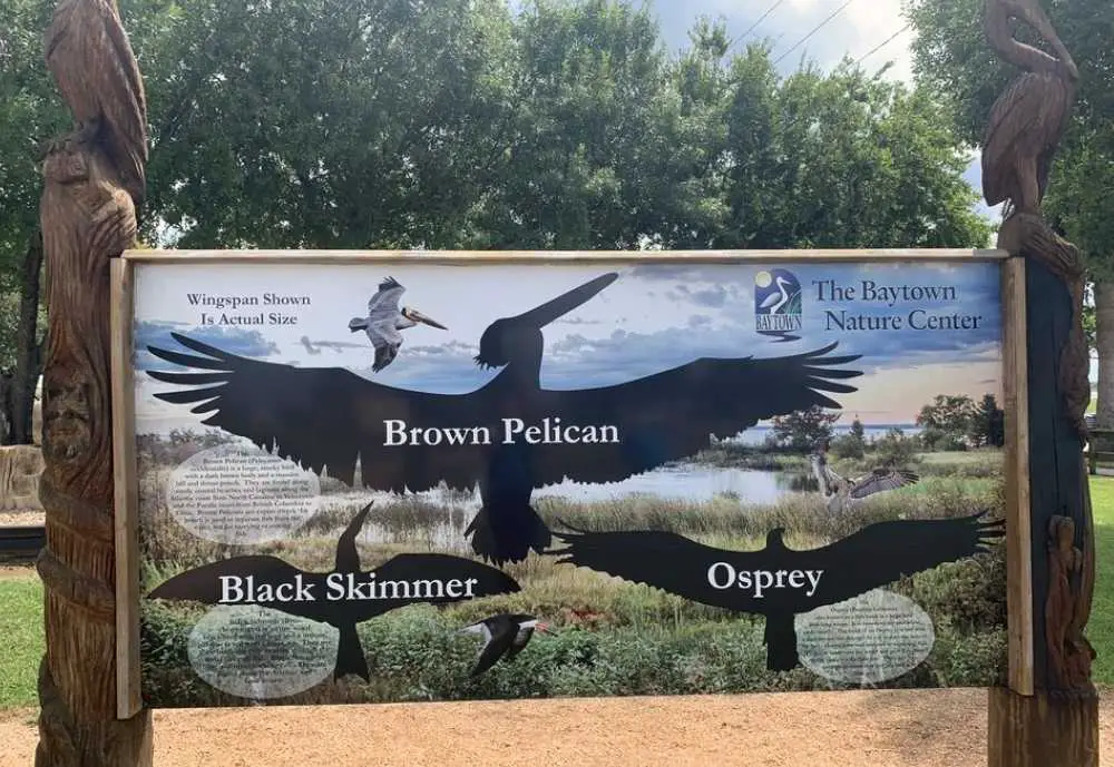 Baytown Nature Center, best things to do in Baytown, TX
