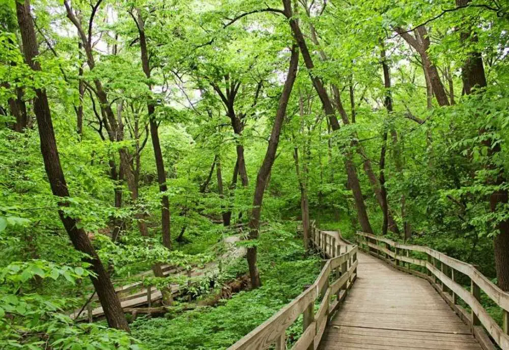Fontenelle Forest, best park for kids in Omaha NE