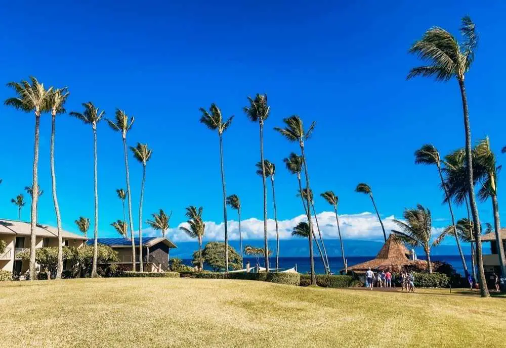Beautiful scenery at The Gazebo in Maui