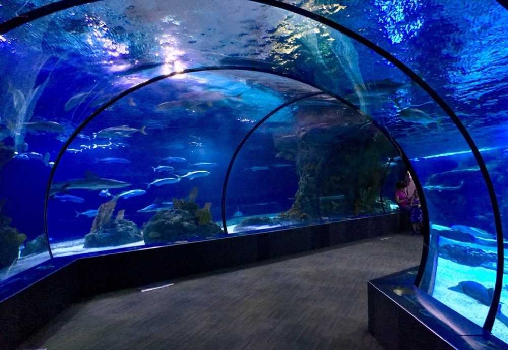 Omaha's Henry Doorly Zoo and Aquarium, best parks for kids in Omaha