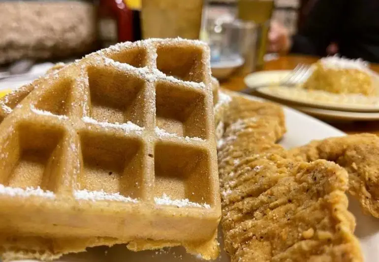 The 11 Best Breakfast Spots in Key Largo, Florida (With Photos) Go