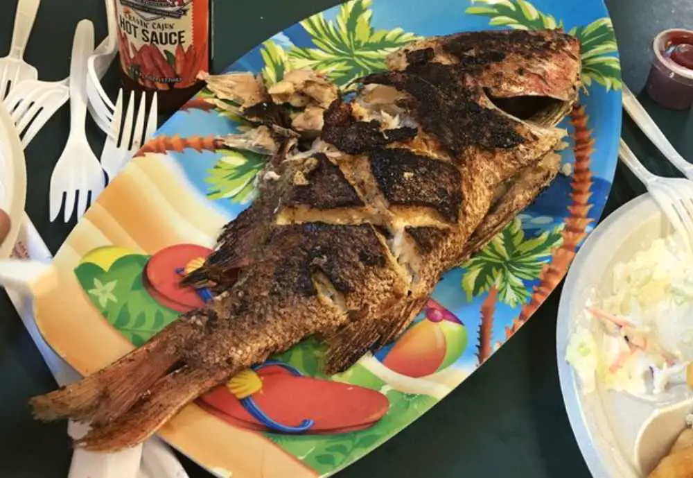 Joe's Oyster Bar, Best seafood in South Padre Island, Texas