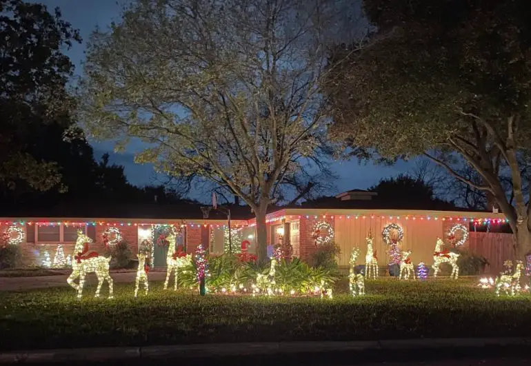Christmas in Texas Why Windcrest's Christmas Light Up Is Iconic Go