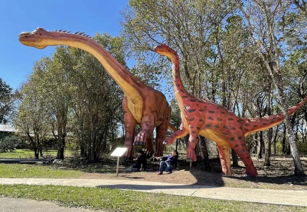 Bandera Natural History Museum, best things to do in bandera, tx