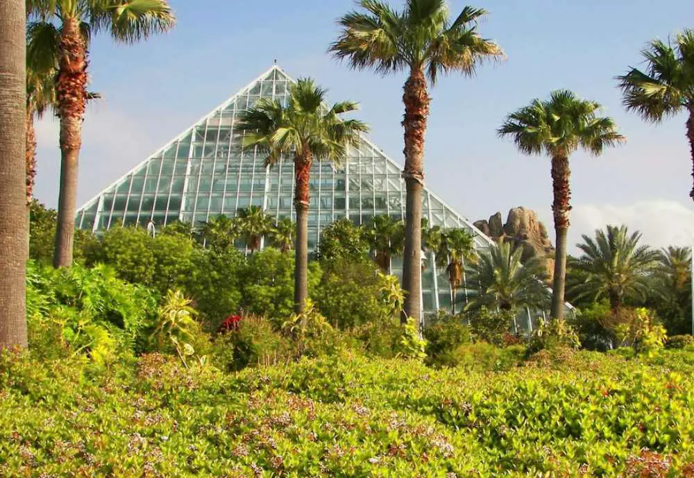 Moody Gardens, things to do in Galveston Texas