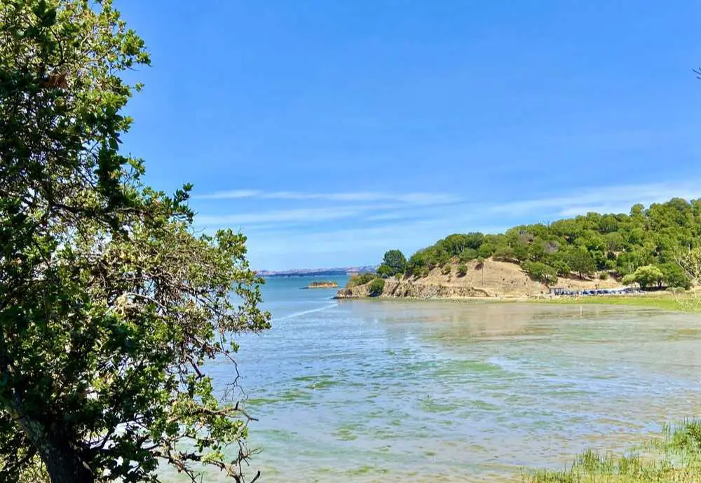 scenic views at China Camp State Park in San Rafael California